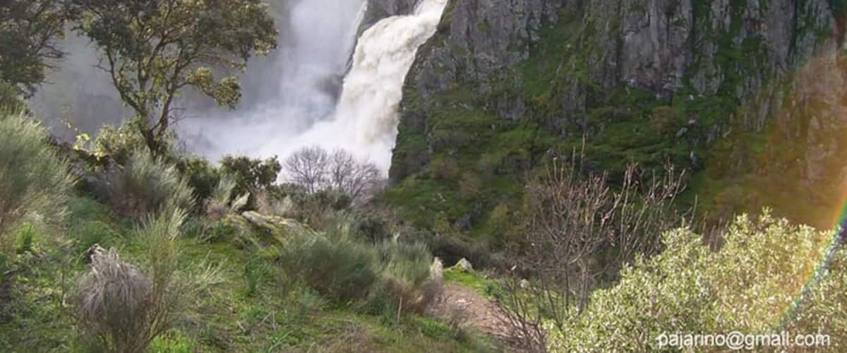A waterfall cascading down a rocky cliff surrounded by lush greenery.
