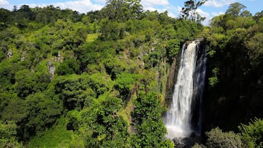 Thomson's Falls, Kenya