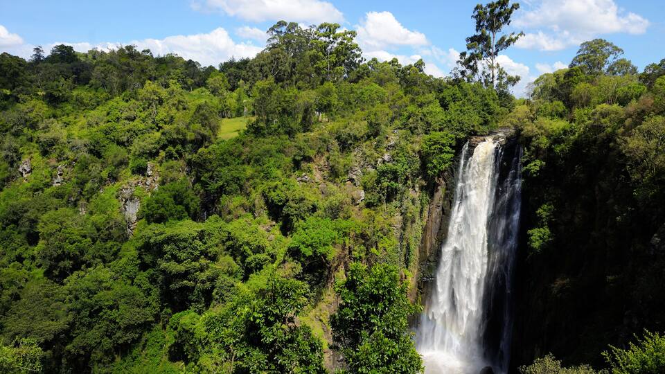 A lush green forest with a waterfall cascading down a rocky cliff.