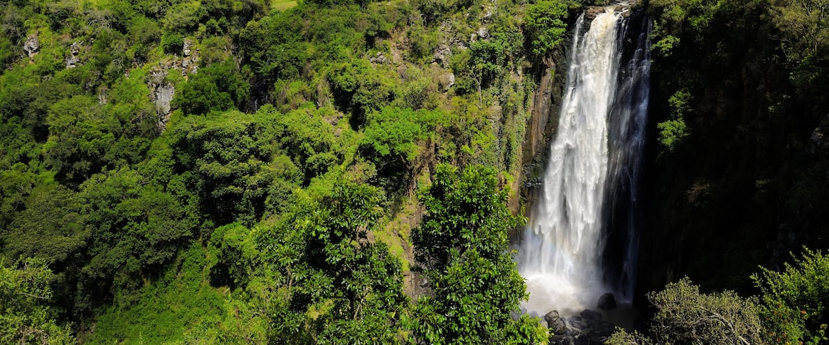 A lush green forest with a waterfall cascading down a rocky cliff.