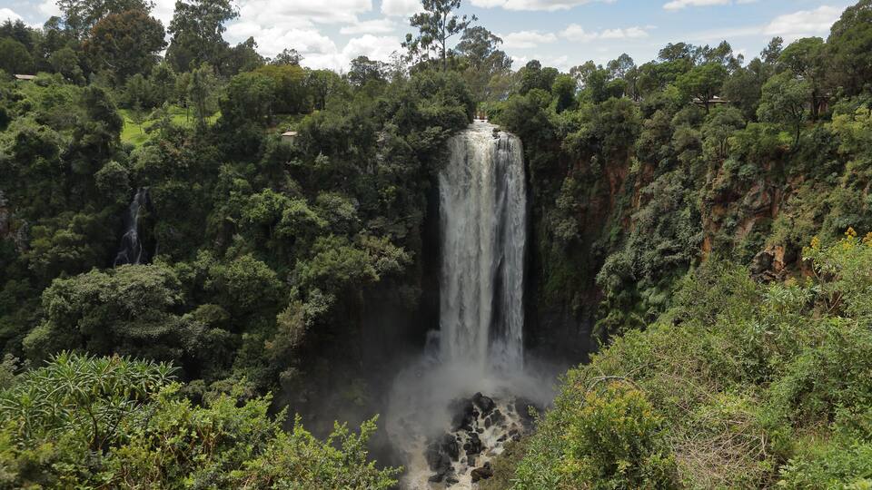 A waterfall surrounded by dense forest.
