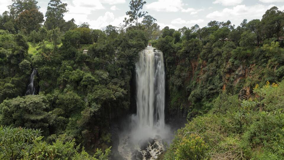 A waterfall cascading down a lush, green cliff surrounded by dense forest.