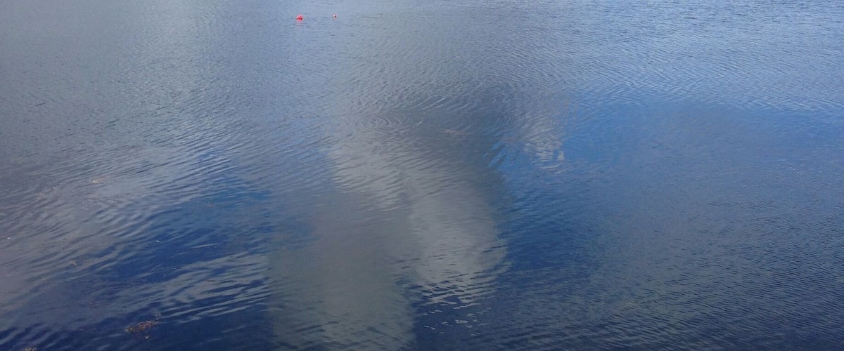A calm body of water with a clear sky and distant mountains.