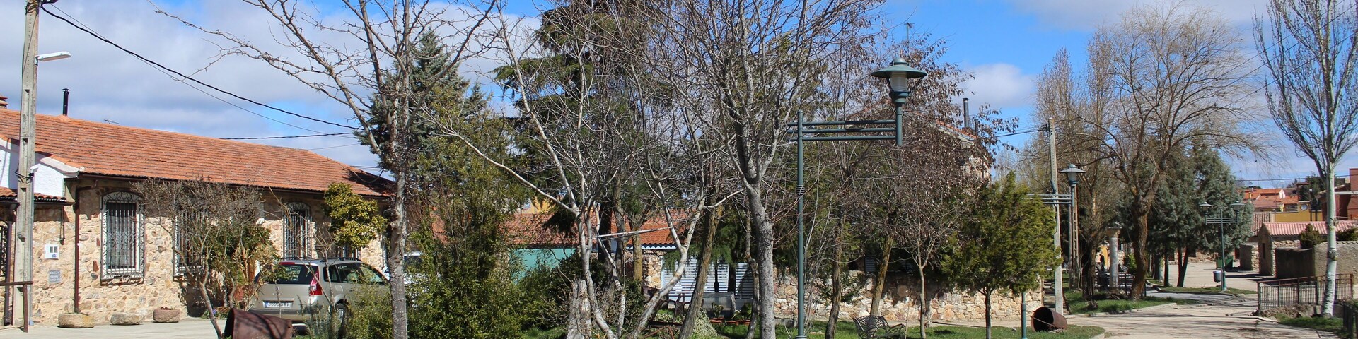 A quiet residential street with houses, bare trees, and a clear blue sky.
