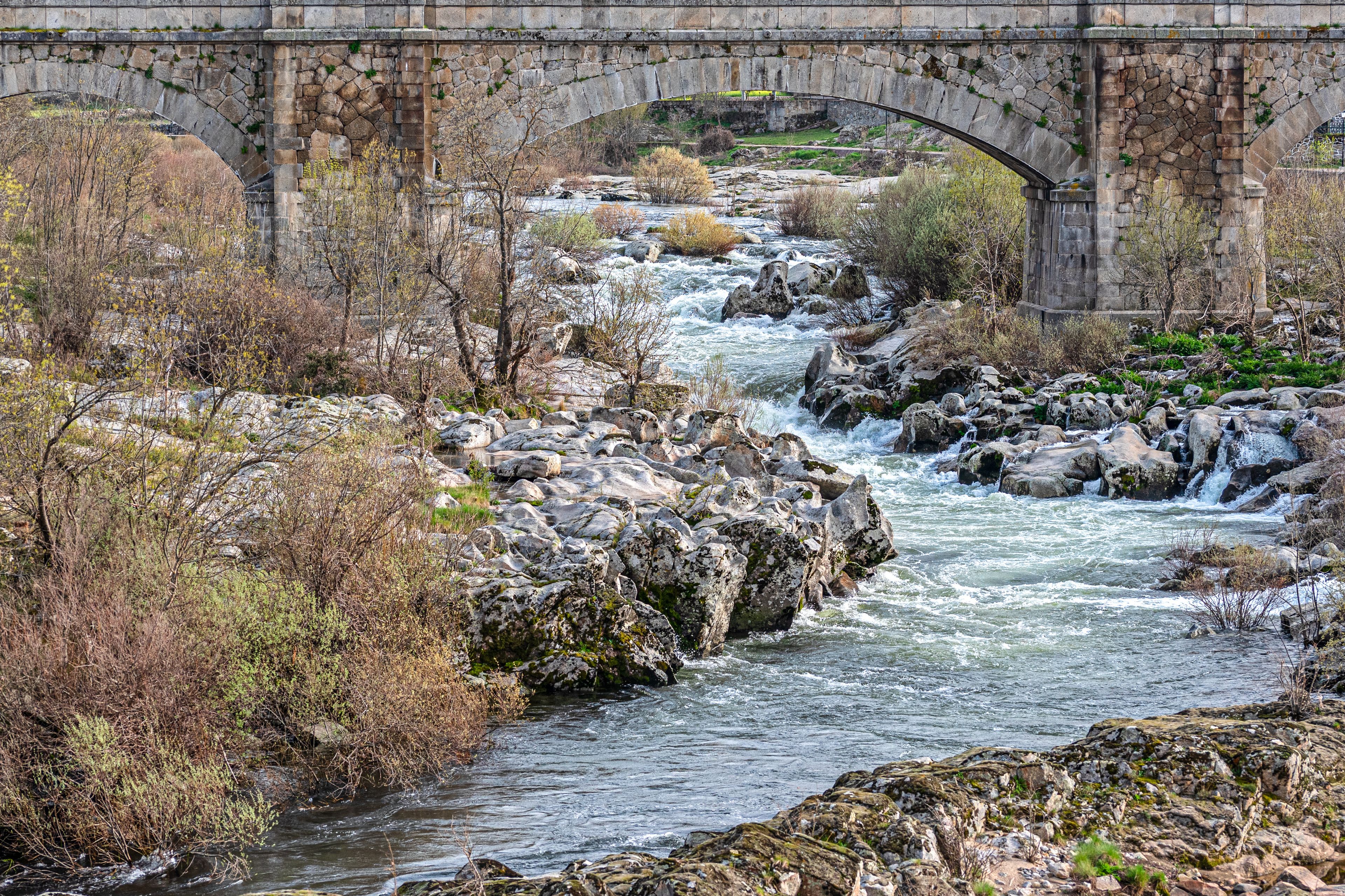 A river flowing under a stone bridge with rocky banks and sparse vegetation.