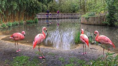 Zoo parc in Overloon,the Netherlands