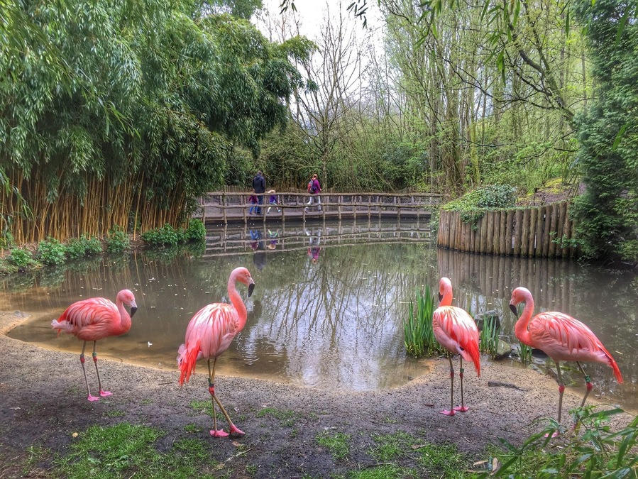 Zoo parc in Overloon,the Netherlands