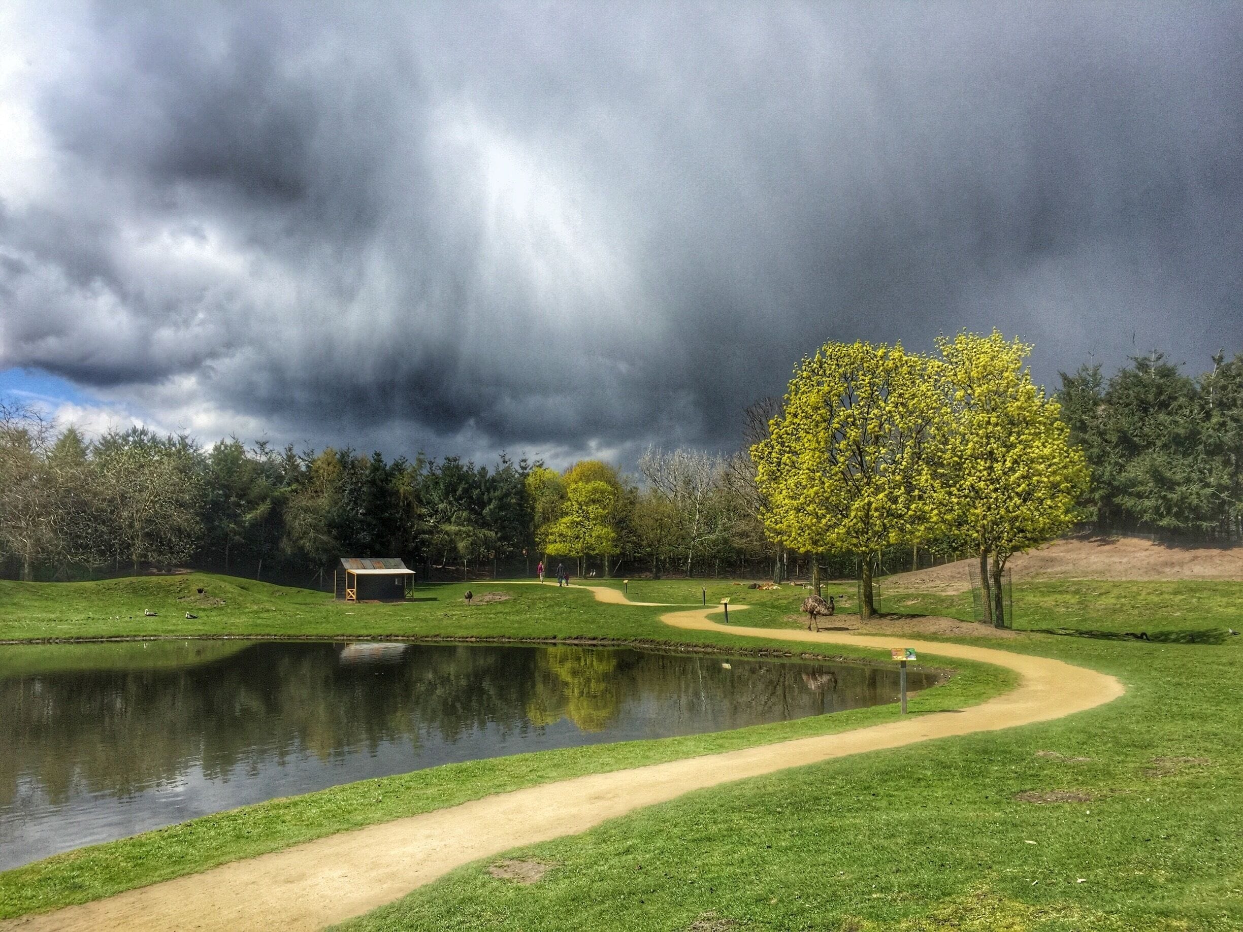 Beautiful Zoo parc,Overloon,the Netherlands