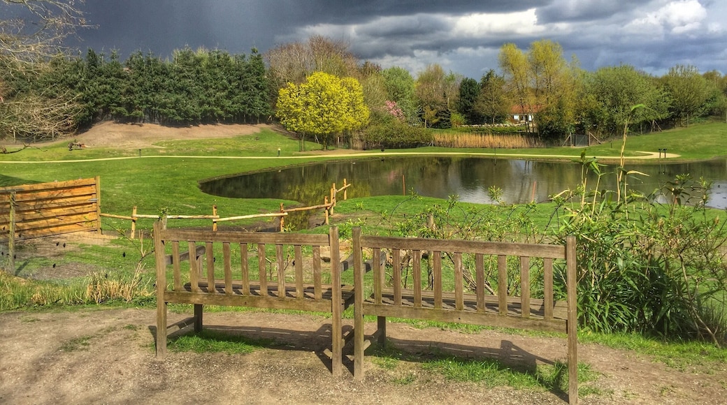 Zoo parc,Overloon,the Netherlands