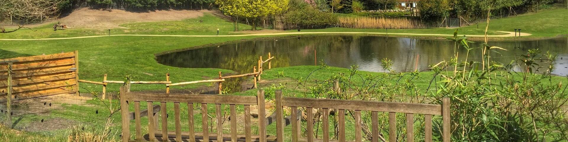 Zoo parc,Overloon,the Netherlands