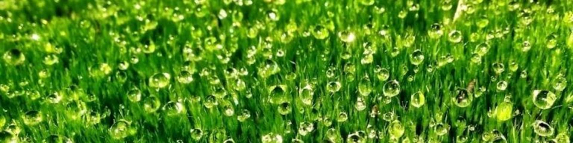 Park austrerlitz near Utrecht is a lovely place for a walk. There are a lot of routes throw the forest.