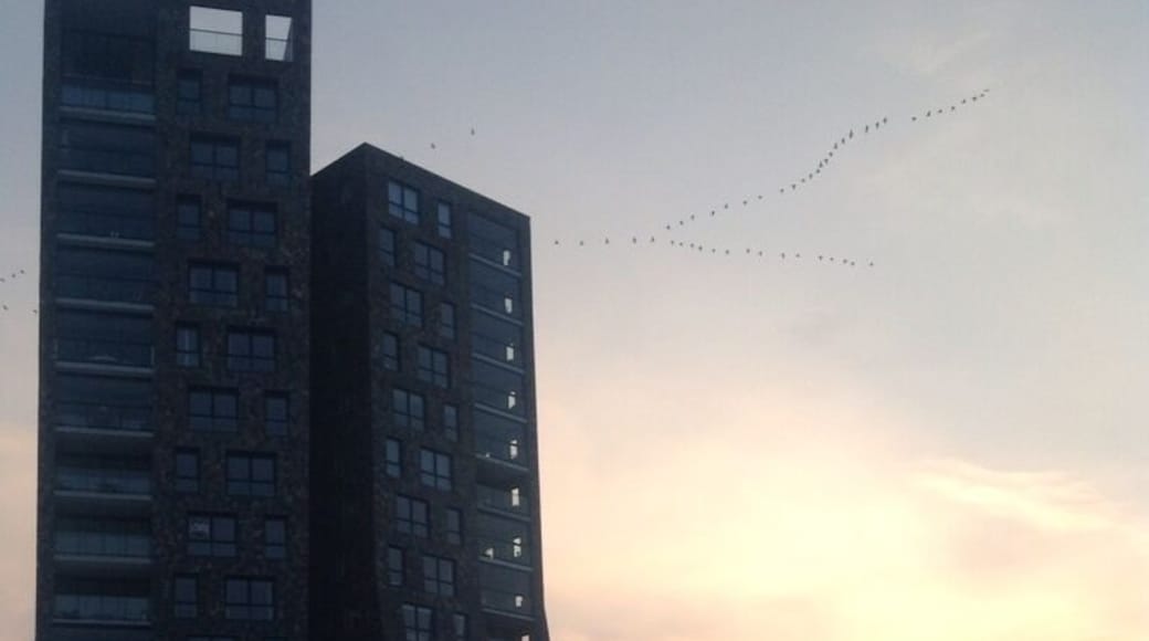 Like buildings, straight lampposts have grown out of fashion