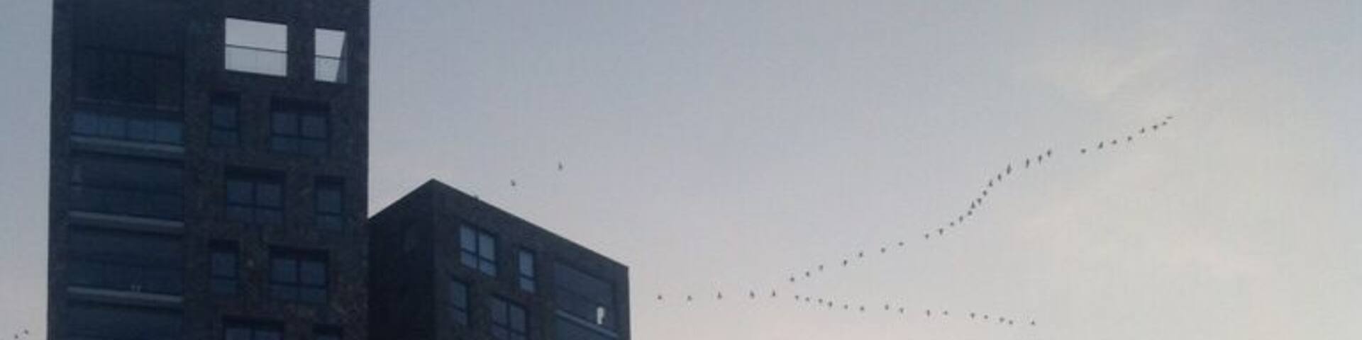 Like buildings, straight lampposts have grown out of fashion