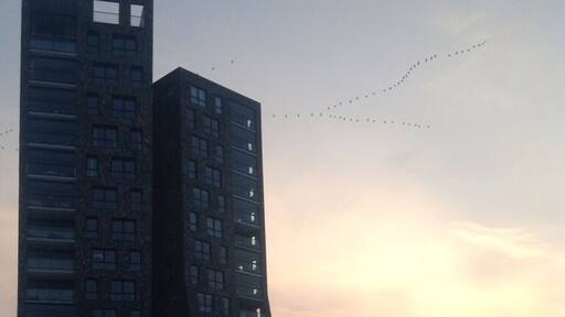 Like buildings, straight lampposts have grown out of fashion