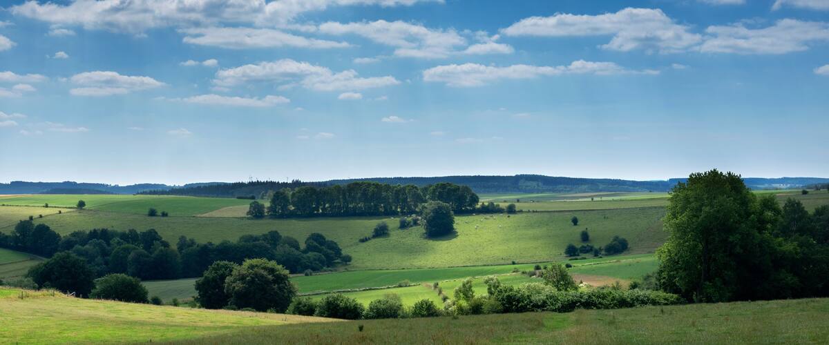 Rolling green hills, scattered trees, and a clear blue sky with clouds.