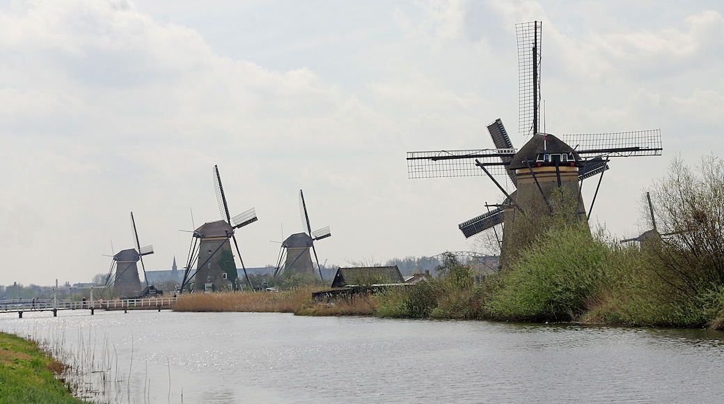 Stopping at Kinderdijk to see the 19 windmills was impressive.