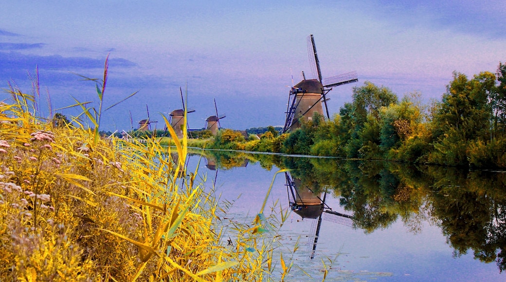 #BVSBlue
Checking out the dutch windmills just before sundown . I liked the reflection of it in the water with the blue sky.