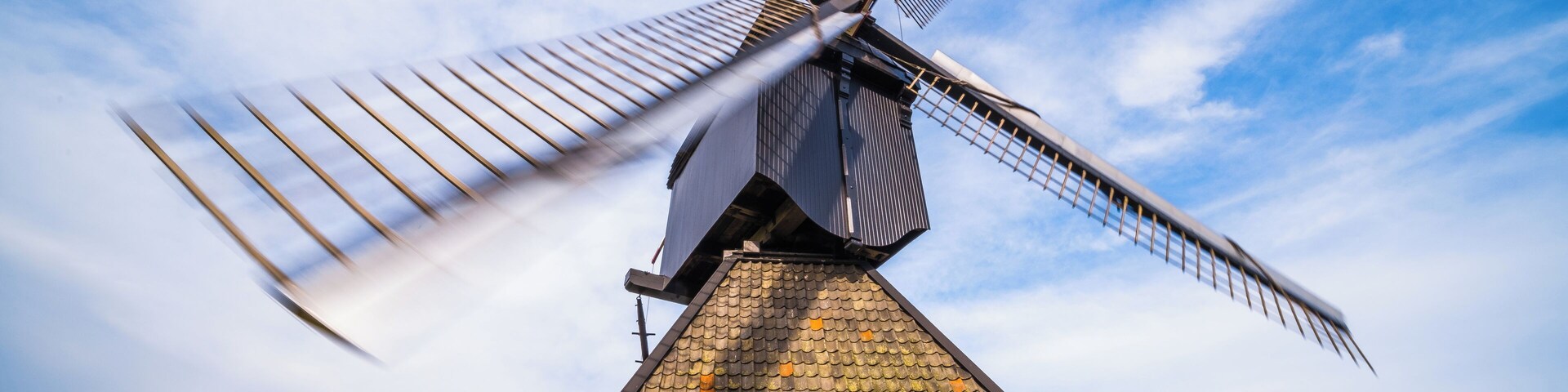 Go there for the famous windmills ! It's easily accessible from downtown Rotterdam by waterbus