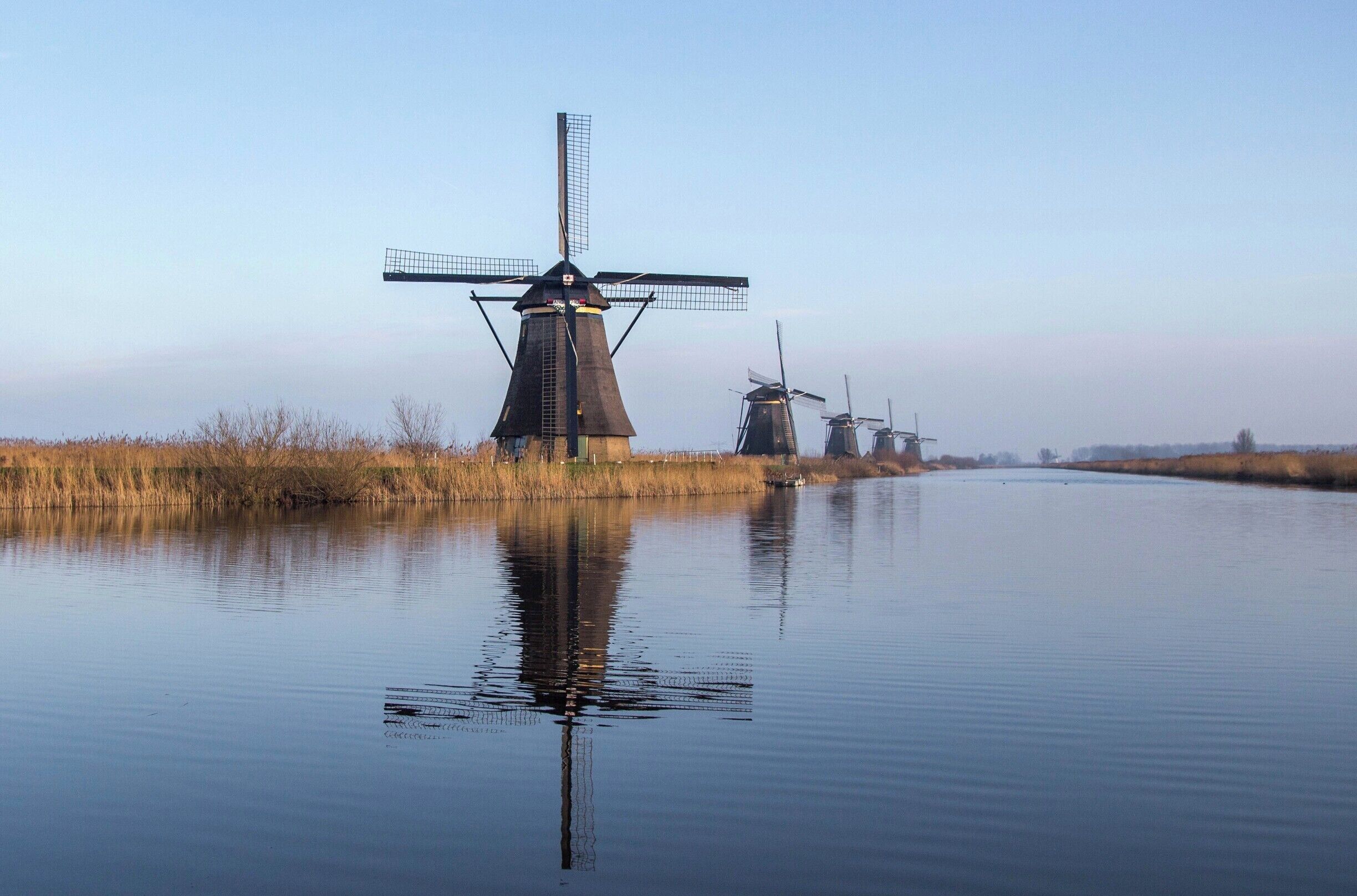 A beautiful horizon of windmills at the Kinderdijk on a picture perfect day in the Netherlands.