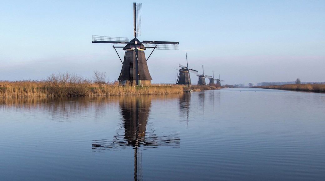 A beautiful horizon of windmills at the Kinderdijk on a picture perfect day in the Netherlands.