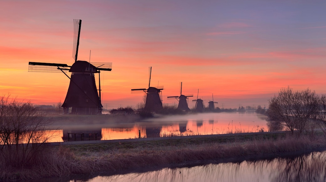 Traditional windmills at sunrise, Kinderdijk, The Netherlands