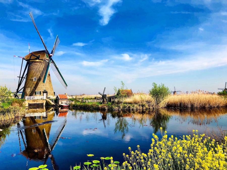 #trovember
#windmill
#netherlands