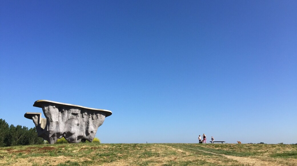Spoortunnel, Marcel Kronenburg