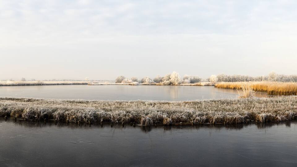 A frozen lake with frost-covered grass and trees in a rural landscape.