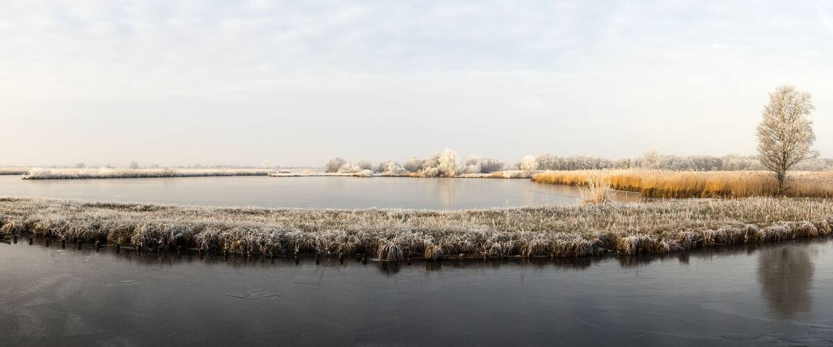 A frozen lake with frost-covered grass and trees in a rural landscape.