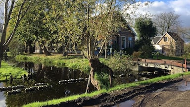 Awesome Street. 🇳🇱☝🏻