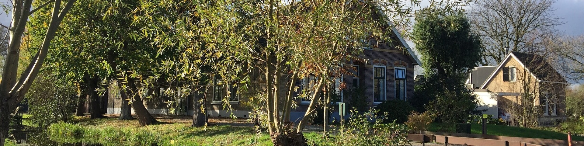 Awesome Street. 🇳🇱☝🏻