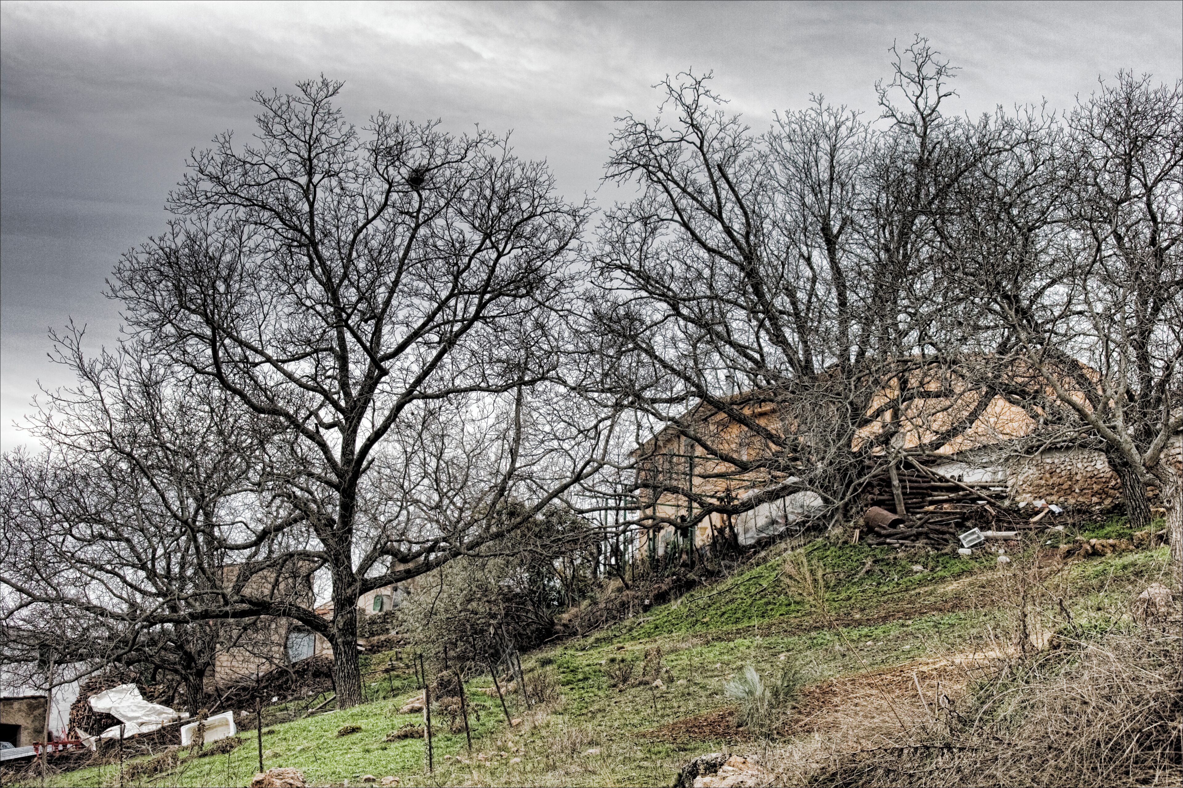 El Bellotar, Albacete (Spain)