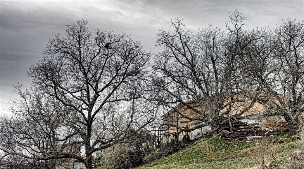 El Bellotar, Albacete (Spain)