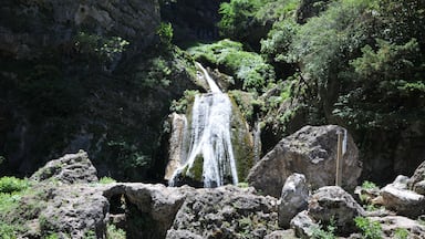 SALTOS DE AGUA DEL RIO MUNDO