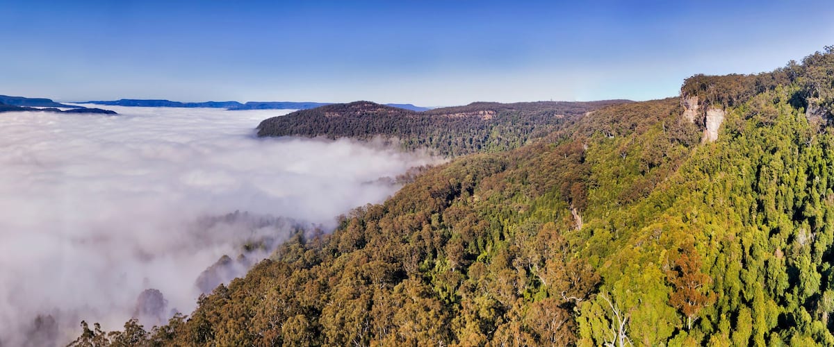 A valley with a cloud-covered landscape and dense forested hills.