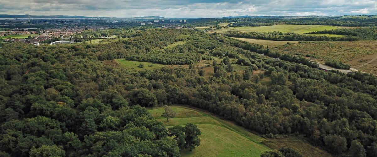 An aerial view of a densely forested area with rolling hills and a distant urban skyline.