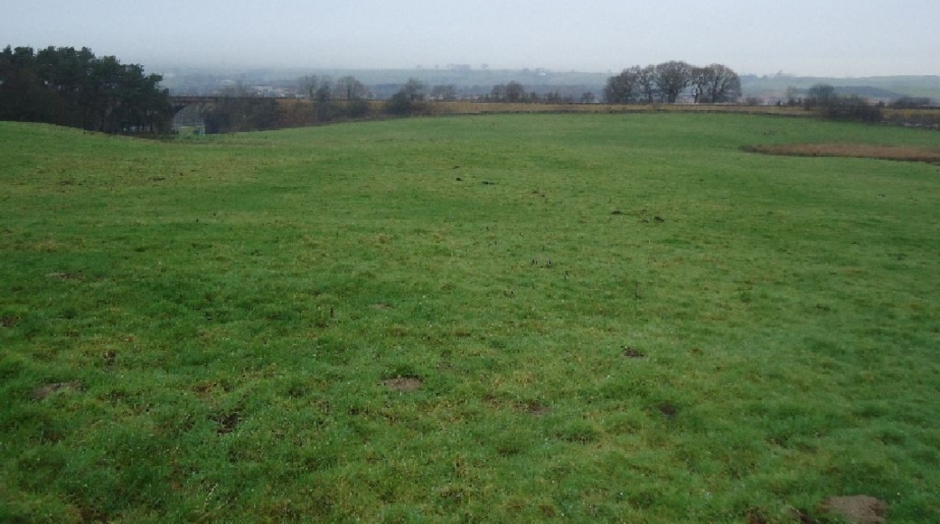 Castlecary, Roman Fort