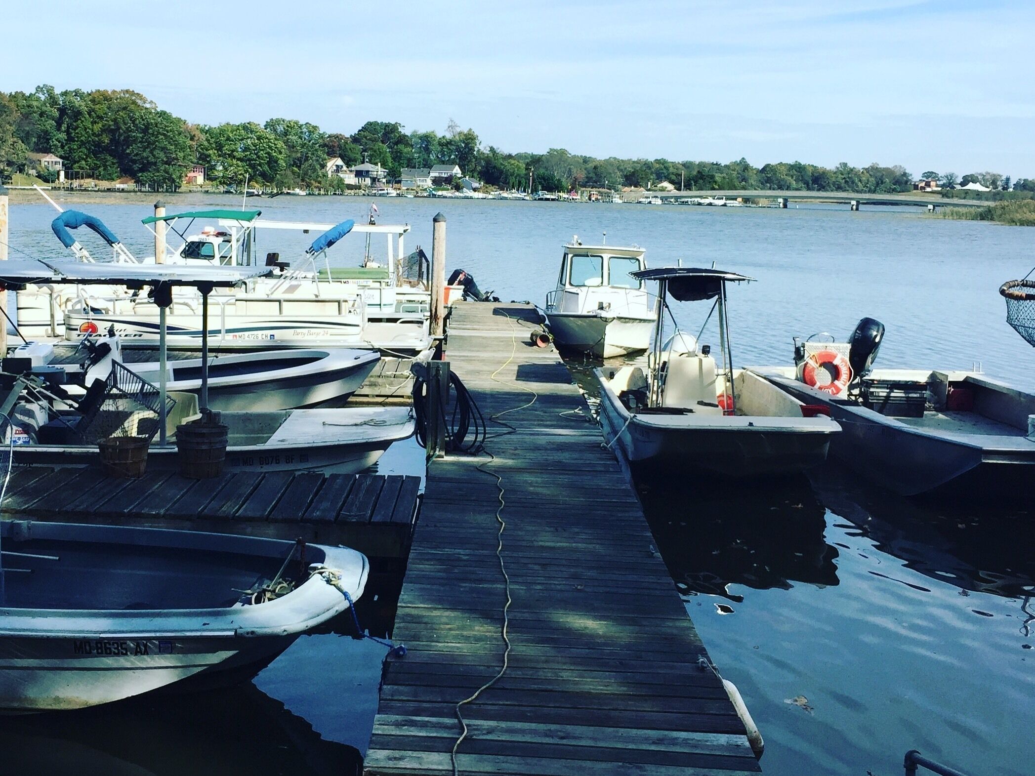 The hangout #mybackyard