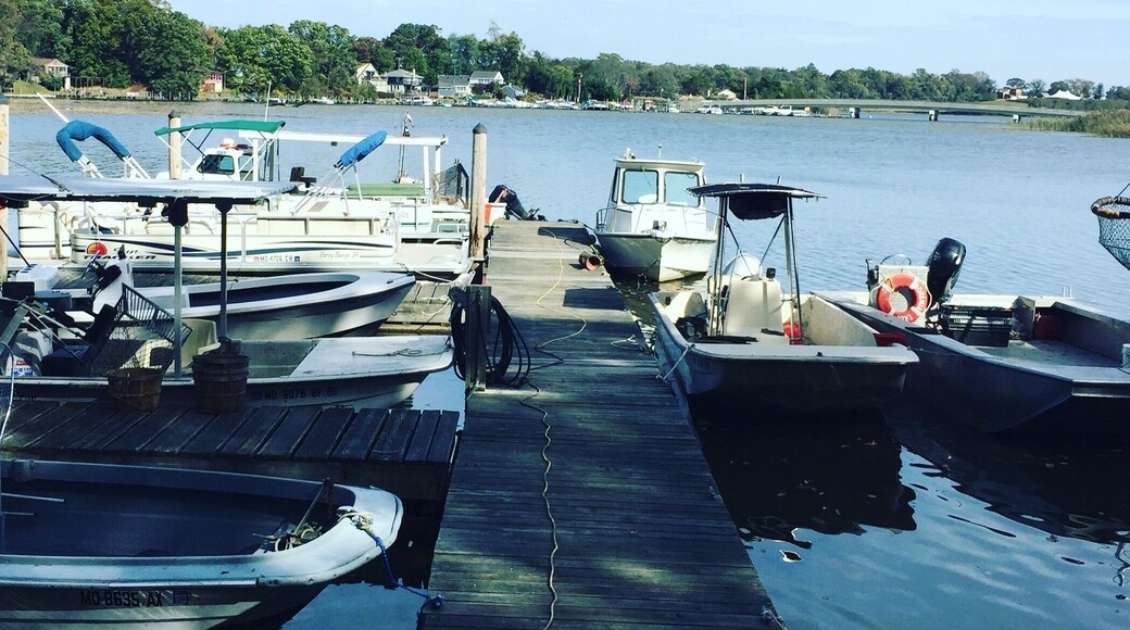 The hangout #mybackyard