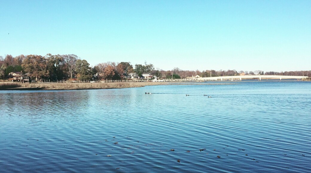 View from the boat dock