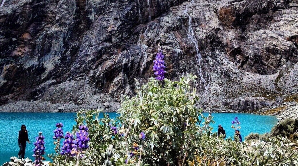 You shouldn't do this hike unless you're in good shape or have acclimated to the high altitude, but it's so worth it. I went with a tour company from Huaraz. Getting to Laguna 69, after passing Llanguanuco and meadows and cows and ruins was incredibly rewarding. It's a beautiful place - don't miss it!