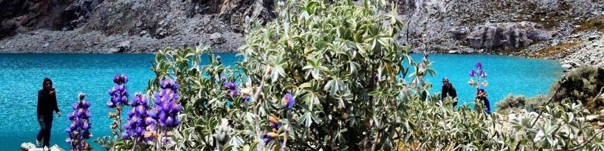 You shouldn't do this hike unless you're in good shape or have acclimated to the high altitude, but it's so worth it. I went with a tour company from Huaraz. Getting to Laguna 69, after passing Llanguanuco and meadows and cows and ruins was incredibly rewarding. It's a beautiful place - don't miss it!