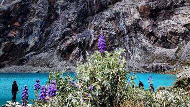You shouldn't do this hike unless you're in good shape or have acclimated to the high altitude, but it's so worth it. I went with a tour company from Huaraz. Getting to Laguna 69, after passing Llanguanuco and meadows and cows and ruins was incredibly rewarding. It's a beautiful place - don't miss it!