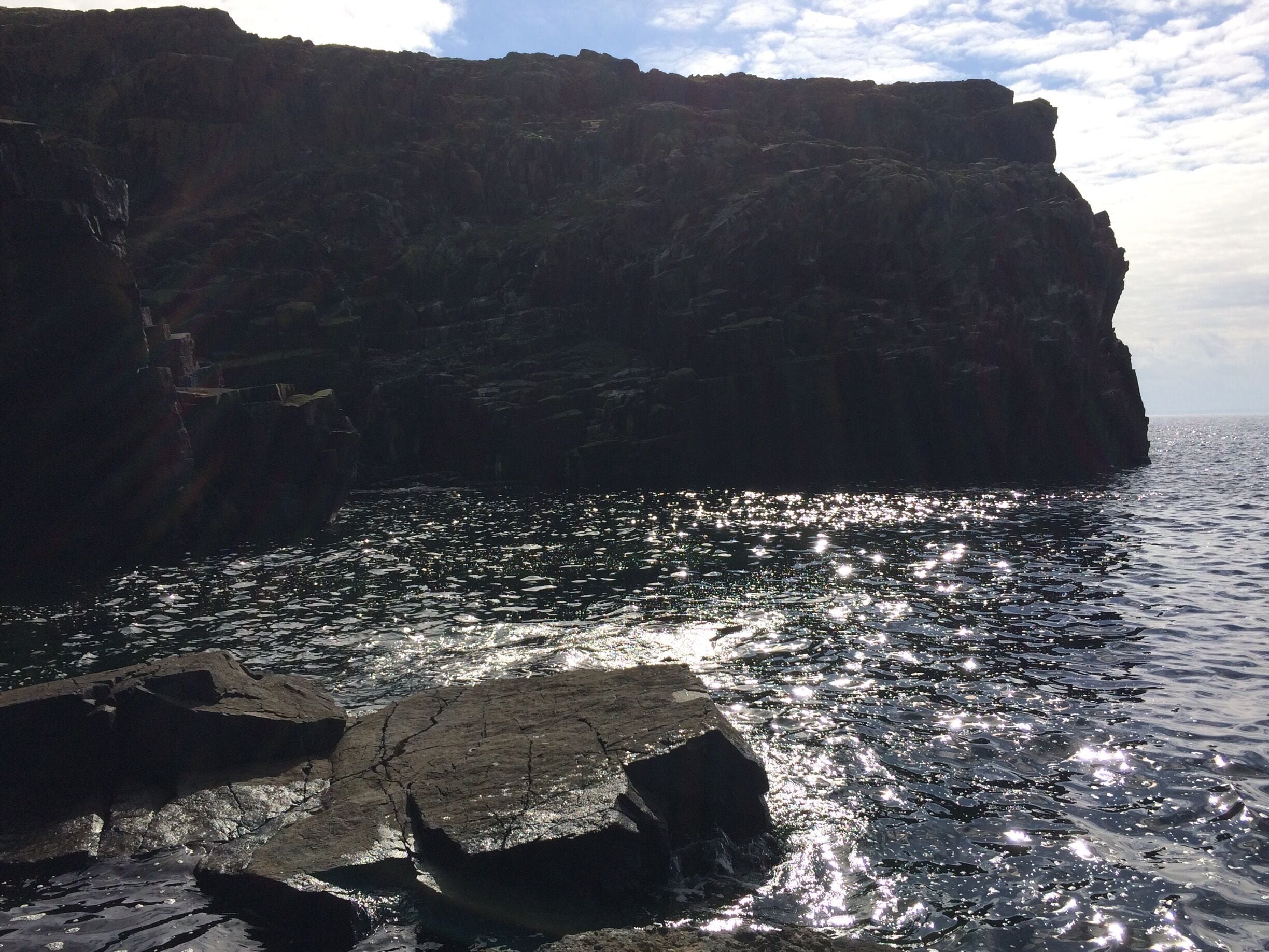 Largest seal population in Scotland. Isle of May