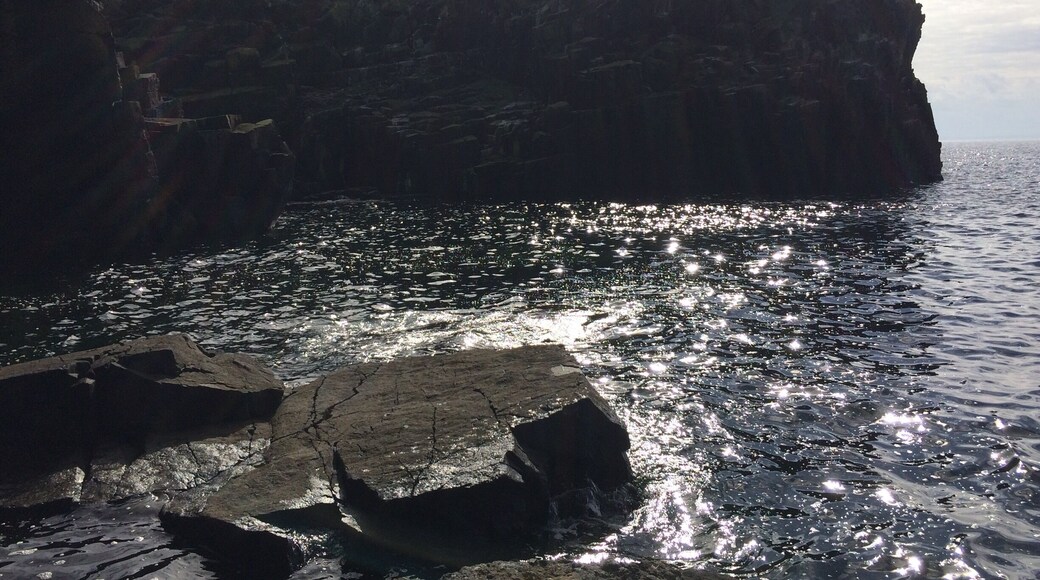 Largest seal population in Scotland. Isle of May