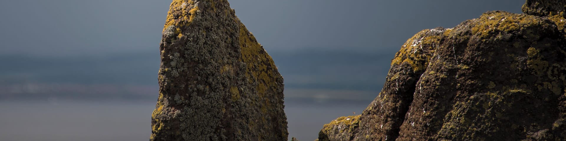 I paid a visit to the amazing Isle of May on Saturday. For anyone who likes seabirds, it is a must. The weather was fantastic and the birds were unbelievable...noisy, smelly and absolutely everywhere. I'm not a birder by any means, but the puffins were great and I gave my jack-of-all trades 28-300 VR a good work-out.