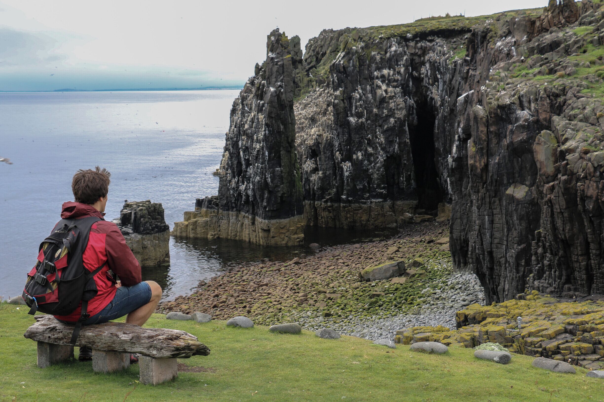 One of Scotland's hidden gems. Towering Cliffs and thousands of Puffins and Birdlife on a remote island. Home to many Seals.
Day trips available from Anstruther, highly recommended