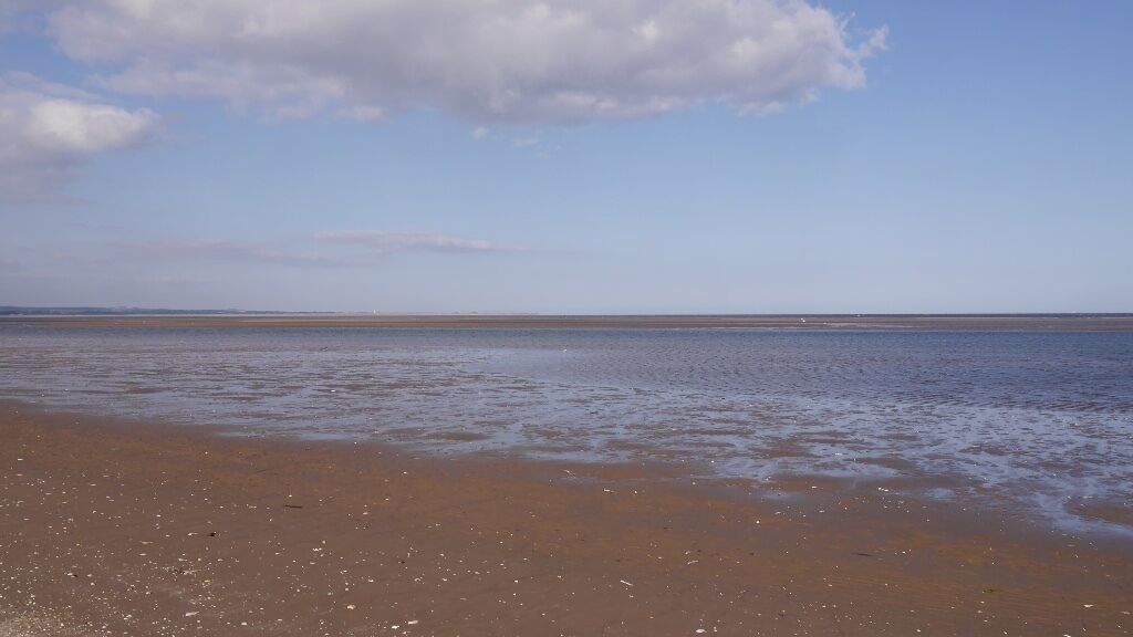 Intertidal area, Tentsmuir