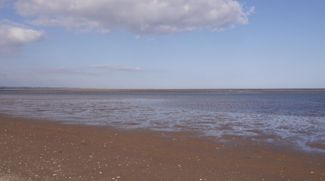 Intertidal area, Tentsmuir