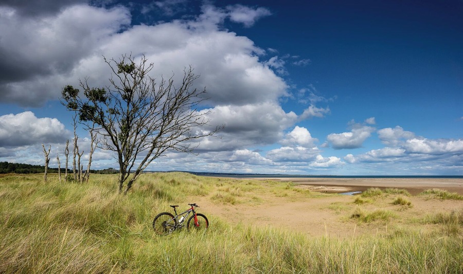 Tentsmuir forest and beach on a sunny morning is a great place to escape to for a walk or a bike ride.